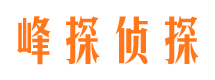 枣阳峰探私家侦探公司